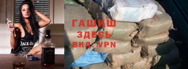 индика Гусев