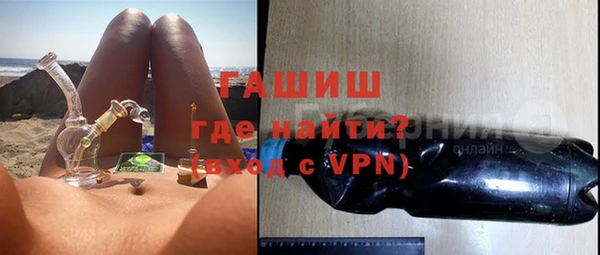 индика Гусев