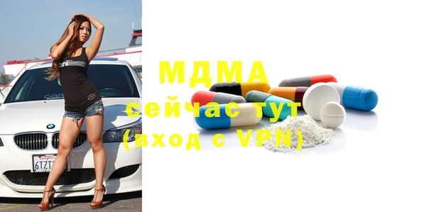 индика Гусев