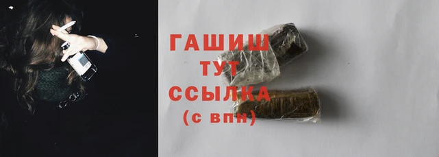 индика Гусев