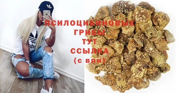 альфа пвп Горно-Алтайск