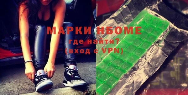 индика Гусев