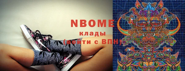 индика Гусев