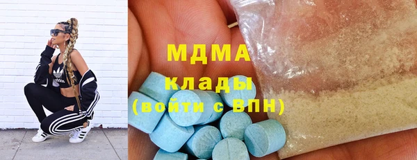 индика Гусев